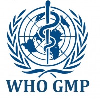 Danh sách 178 cơ sở ngành dược đạt chứng nhận GMP WHO