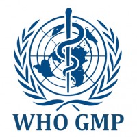 Danh sách 174 doanh nghiệp ngành dược đạt chứng nhận GMP WHO