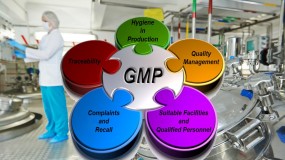 Dịch vụ Cấp chứng nhận GMP - Chứng nhận Thực hành sản xuất tốt GMP