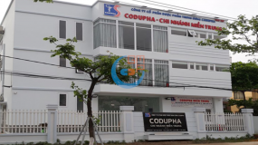 Dược phẩm Codupha: Lợi nhuận quý IV/2021 tăng 26%