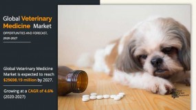 Overview of Veterinary medicine market - Opportunity analysis and industry forecast