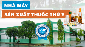 Danh sách các nhà máy sản xuất thuốc thú y – thủy sản tiêu chuẩn GMP WHO 2022