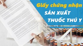 Hướng dẫn xin cấp Giấy chứng nhận đủ điều kiện sản xuất thuốc thú y