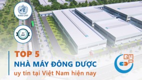Top 5 công ty dược phẩm đông dược uy tín tại Việt Nam hiện nay