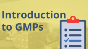 Introduction to WHO GMP (good manufacturing practices) 