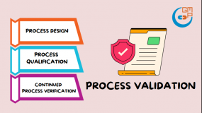 Process Validation in Pharmaceutical Manufacturing