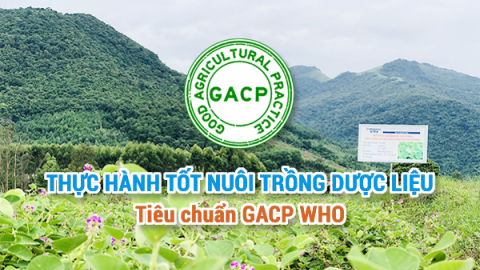 Hướng dẫn thực hành tốt nuôi trồng dược liệu đạt tiêu chuẩn GACP WHO