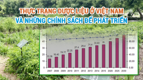 Thực trạng dược liệu ở Việt Nam và chính sách để phát triển năm 2024 