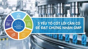 Trang bị nhà máy GMP: 5 yếu tố cốt lõi cần có để đạt chứng nhận GMP