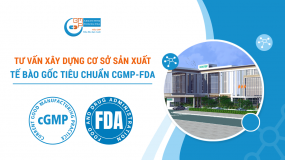 Tư vấn xây dựng cơ sở sản xuất tế bào gốc tiêu chuẩn WHO GMP