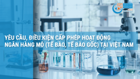 Yêu cầu, điều kiện cấp phép hoạt động Ngân hàng mô (tế bào, tế bào gốc) tại Việt Nam