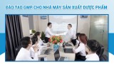 Báo cáo nghiên cứu thị trường sản xuất thuốc tại Việt Nam