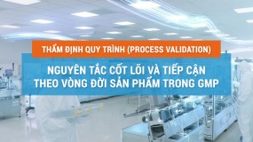 Thẩm định Quy trình (Process Validation): Nguyên tắc Cốt lõi và Tiếp cận theo Vòng đời Sản phẩm trong GMP