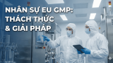 Chi Phí Xây Dựng Nhà Máy EU GMP 2026: Bóc tách chi tiết CAPEX và OPEX