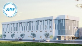 Nhà máy đã có Giấy chứng nhận đủ điều kiện sản xuất nhưng chưa đạt CGMP ASEAN có được tiếp tục hoạt động không?