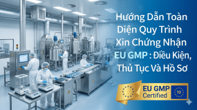 Hướng Dẫn Toàn Diện Quy Trình Xin Chứng Nhận GMP EU 2026: Điều Kiện, Thủ Tục Và Hồ Sơ