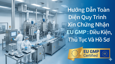 Hướng Dẫn Toàn Diện Quy Trình Xin Chứng Nhận GMP EU 2026: Điều Kiện, Thủ Tục Và Hồ Sơ