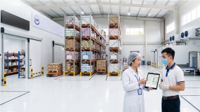 Tư Vấn Kho Bảo Quản GSP Trọn Gói: Giải Pháp Đạt Chuẩn Bộ Y Tế Cho Doanh Nghiệp Dược