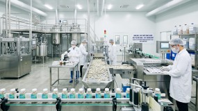Phân Tích Thị Trường Thực Phẩm Chức Năng 2026: Xu Hướng Và Chiến Lược Bứt Phá