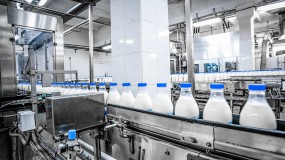 Nhà máy sản xuất sữa Alibaba tiêu chuẩn GMP
