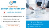 Tuyển dụng chuyên viên tư vấn GMP (Hà Nội) - Tháng 02/2024