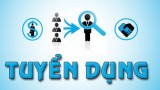 Tuyển dụng nhân viên kinh doanh làm việc tại Hà Nội
