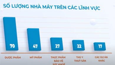 About GMPc Viet Nam - The No.1-in-VietNam GMP-facility-construction consultancy