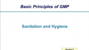 WHO GMP guidelines: Sanitation and hygiene