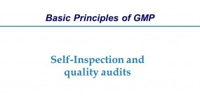 WHO GMP guidelines: Self-inspection and Quality Audits