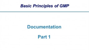 WHO GMP guidelines: Documentation