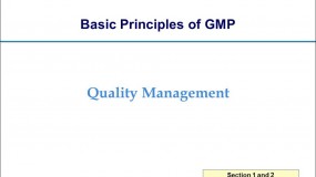WHO GMP guidelines: Quality Management