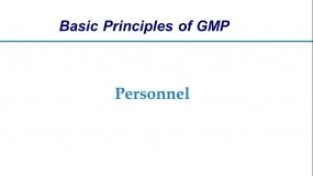 WHO GMP guidelines: Personnel