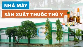 Nhà máy sản xuất thuốc thú y Á Châu