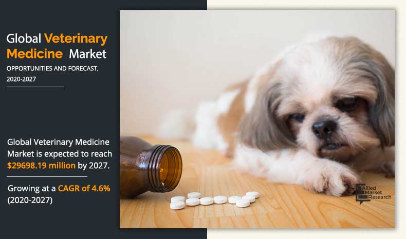 Overview of Veterinary medicine market